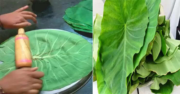 Healthy Diet: अरबी के पत्‍तों के फायदे कर देंगे हैरान, मधुमेह रोगियों के लिए तो हैं वरदान