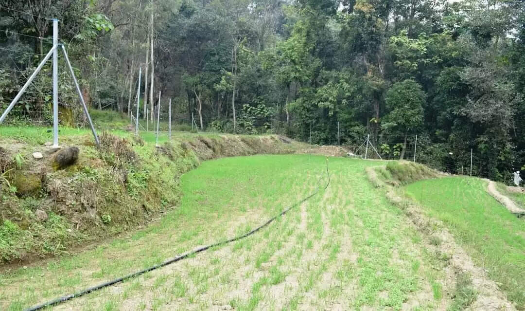 मुख्यमंत्री खेत संरक्षण योजना लिख रही सुरक्षित खेती की नई इबारत