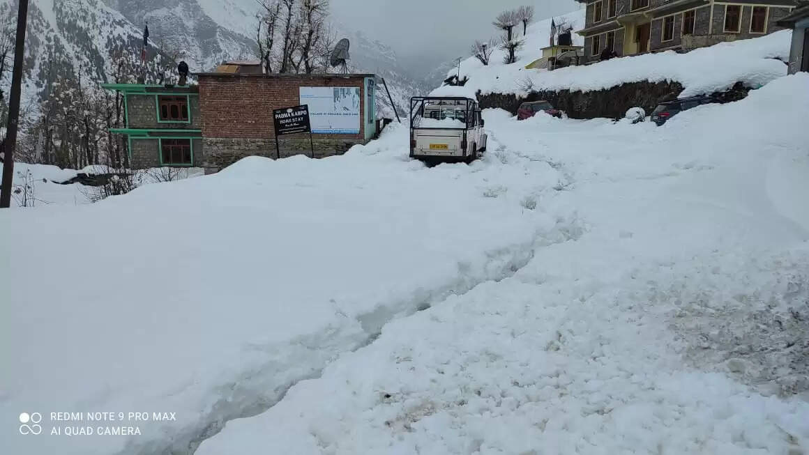 हिमाचल में फिर सक्रिय हुआ पश्चिमी विक्षोभ, ठंड बढ़ी, आंधी-तूफान की आशंका