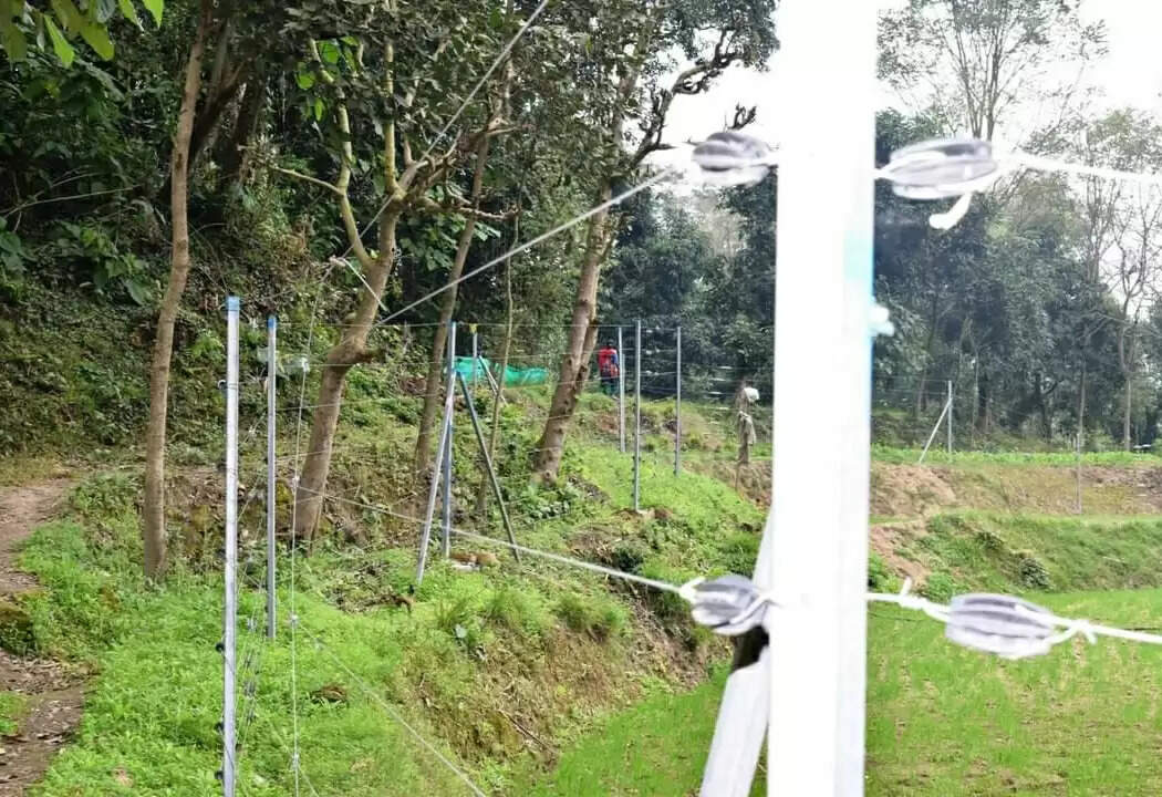 मुख्यमंत्री खेत संरक्षण योजना लिख रही सुरक्षित खेती की नई इबारत
