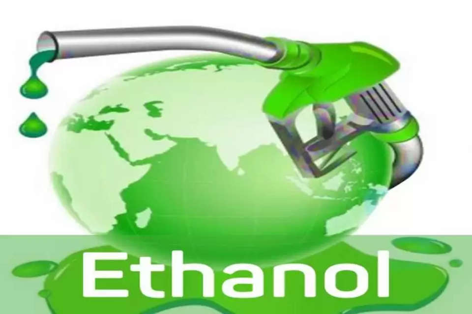 Fuel Ethanol Plant
