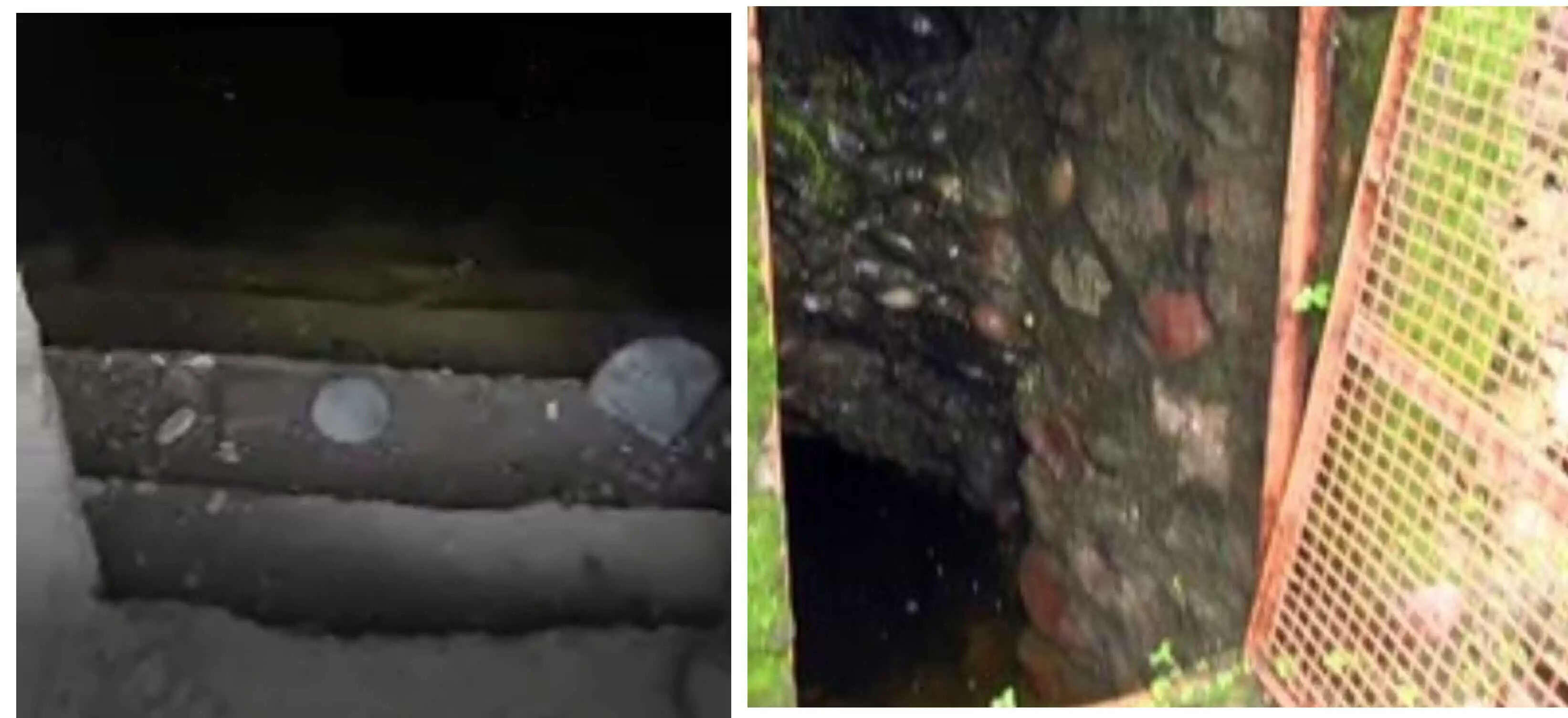 photo - टौणी देवी स्कूल ने  पेश की  पानी सहेजने की नई मिसाल