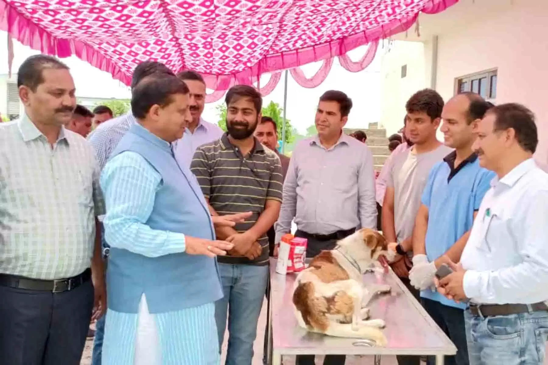 ग्रामीण विकास, पंचायती राज, कृषि, मत्स्य तथा पशु पालन मंत्री वीरेंद्र कंवर ने शुक्रवार को आंचलिक पशु चिकित्सालय बरनोह में एक दिवसीय एंटी रैबीज़ टीकाकरण शिविर का शुभारंभ किया। इस शिविर में 42 कुत्तों का टीकाकरण किया गया और विशेषज्ञ डॉक्टरों द्वारा कुत्तों के स्वास्थ्य की जांच की गई। शिविर में कुत्तों के मालिकों को फ्री दवाएं व सप्लीमेंट भी प्रदान किए गए। इस कैंप में उपस्थित व्यक्तियों को कुत्तों से संबंधित बीमारियों के बारे में जागरूक भी किया गया।