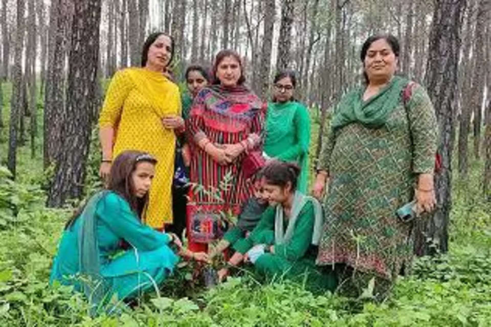 झनियारी के जंगलों में औद्योगिक प्रशिक्षण संस्थान हमीरपुर के प्रशिक्षणार्थियों व् स्टाफ द्वारा पौधारोपण किया 