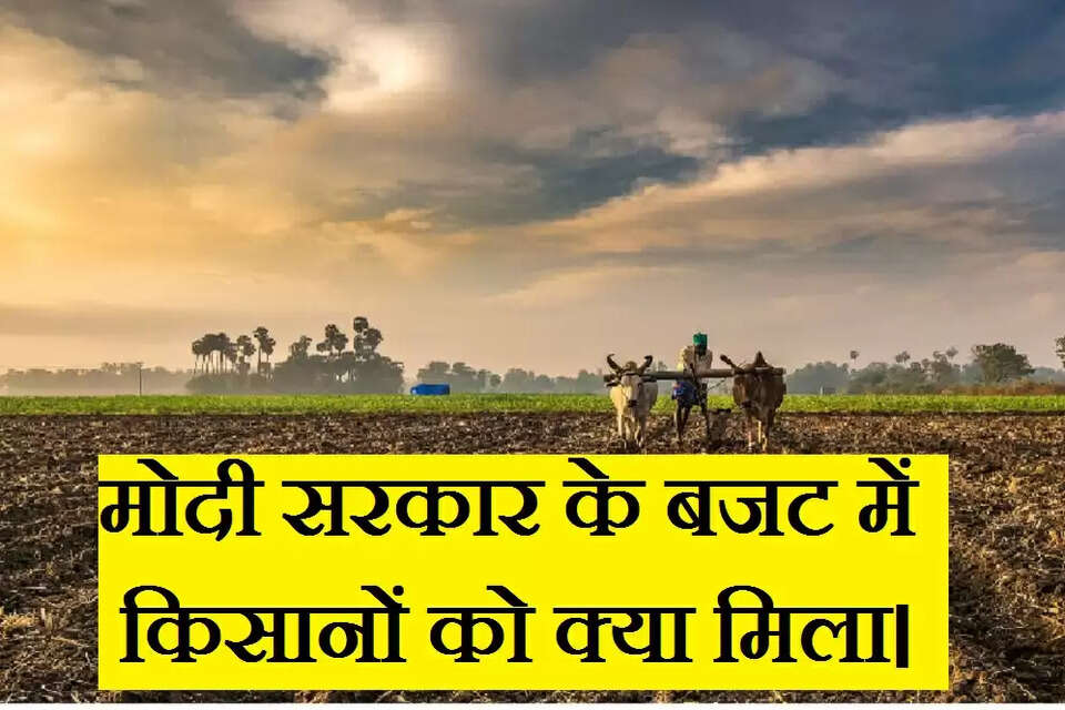 बजट में किसानों को लिए मोदी सरकार ने बड़ी सौगात दी है। साल 2023 को सरकार ने मोटा अनाज वर्ष घोषित किया है। सरकार मोटे अनाज उत्पादों की राष्ट्रीय और अंतरराष्ट्रीय ब्रांडिंग पर जोर देगी।