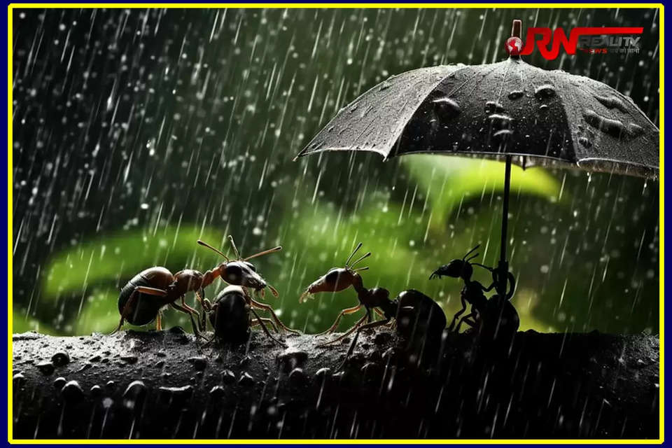 हिमाचल प्रदेश में मानसून जल्द पहुंचने का पूर्वानुमान (Monsoon in Himachal) है। मौसम विज्ञान केंद्र (IMD) शिमला की ओर से प्रदेश में दो दिन भारी बारिश का अलर्ट जारी किया गया है। केंद्र के अनुसार हिमाचल के कई भागों में 1 जुलाई तक लगातार बारिश जारी रहने की संभावना है। 28 और 29 जून के लिए भारी बारिश का येलो अलर्ट जारी किया गया है। मंगलवार यानी आज भी कई स्थानों पर बारिश का पूर्वानुमान है। 