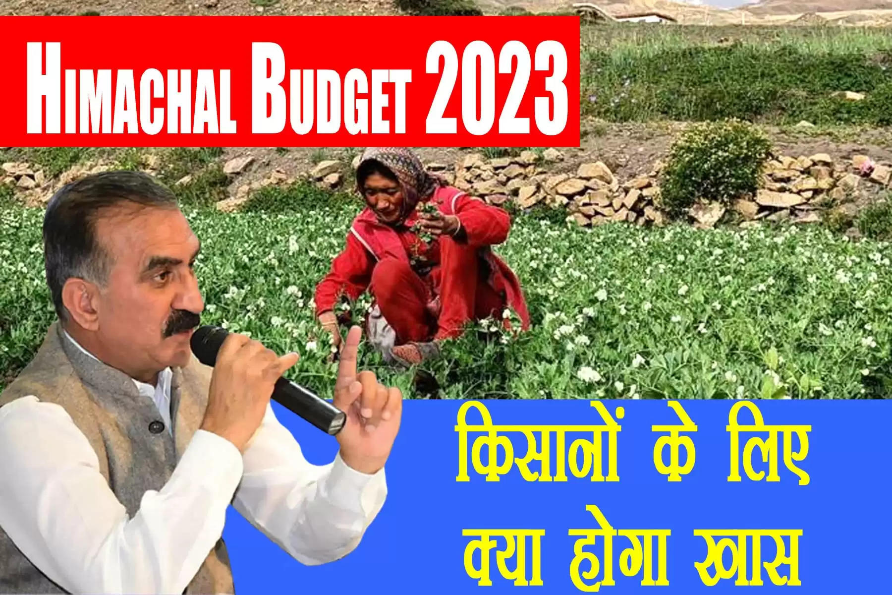  हिमाचल प्रदेश की सुक्खू सरकार का पहला बजट (Himachal pradesh budget 2023) सत्र आज से शुरू हो गया है। बजट सत्र (Himachal pradesh budget session 2023-24) से पहले प्रदेश सरकार ने 15 फरवरी तक लोगों से बजट में किन-किन योजनाओं को शामिल किया जाए, इसके सुझाव मांगे थे। प्रदेश की जनता ने ई-मेल और पत्र के जरिए सरकार को बजट के लिए सुझाव भी दे दिए हैं। प्रदेश की नई सरकार के पहले बजट से प्रदेश के किसानों को भी खासी उम्मीदें हैं।