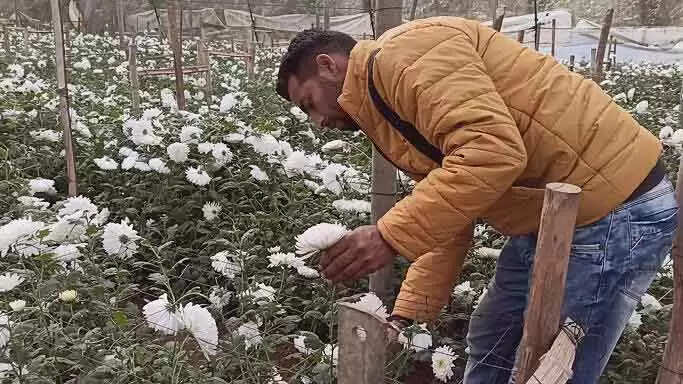 विकास खंड भोरंज के गांव नेली के बलविंद्र सिंह