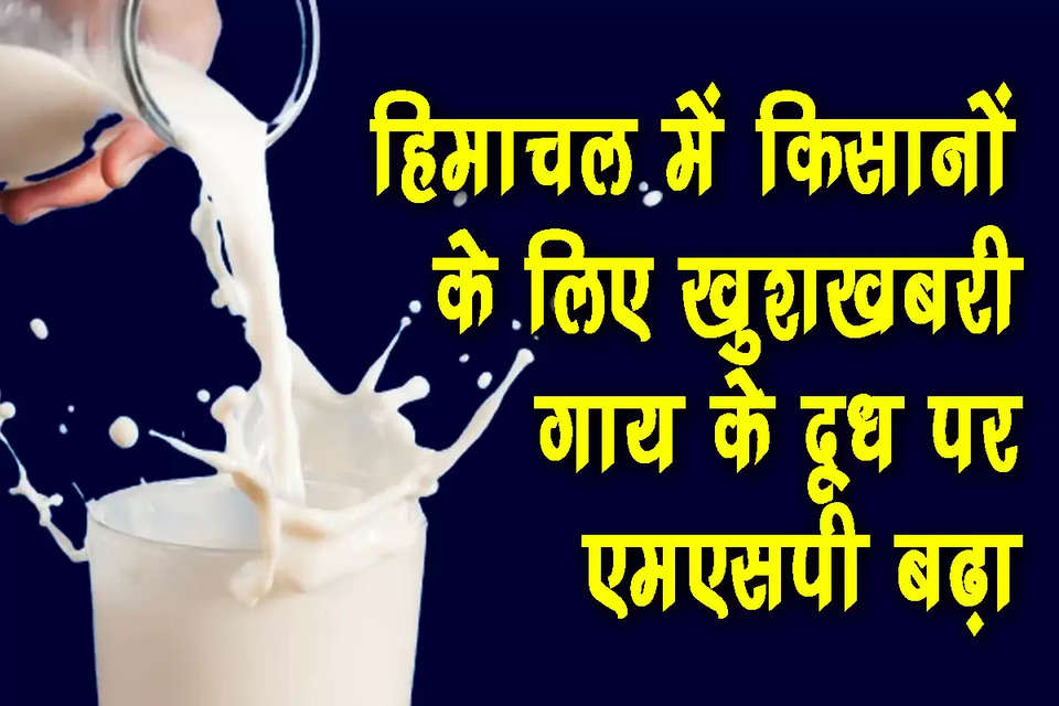 हिमाचल प्रदेश में वित्त वर्ष 2024-25 में गाय के दूध का न्यूनतम समर्थन मूल्य (MSP) भी बढ़ गया है। हिमाचल प्रदेश के मुख्यमंत्री सुखविंद्र सिंह सुक्खू ने बजट भाषण में दूध को दामों को 38 रुपये से बढ़ाकर 45 रुपये करने की घोषणा की थी। इसके साथ ही भैंस के दूध को भी 55 रुपये प्रति किलो सरकार द्वारा खरीदे जाने की घोषणा की थी। अब एक अप्रैल से हिमाचल में नए रेट लागू हो गए हैं। इससे प्रदेश के लगभग 47,000 हजार दुग्ध उत्पादकों को लाभ मिलेगा।