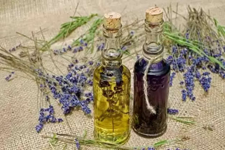 Lavender Oil Benefits: आजकल हर किसी को ग्लोइंग स्किन और हेल्दी बाल चाहिए। और इसके लिए लोग क्या कुछ नहीं करते हैं। लोग खास स्किन केयर रूटीन (Skin Care Routine) अपनाने से लेकर असरदार घरेलू उपायों तक हर तरीके आजमाते हैं। बावूजद इसके कई बार न सिर्फ त्वचा पर कुछ स्किन प्राब्लम्स देखने को मिलने लगती हैं, बल्कि बालों से जुड़ी कई समस्याएं (Problems) भी आम हो जाती हैं। 