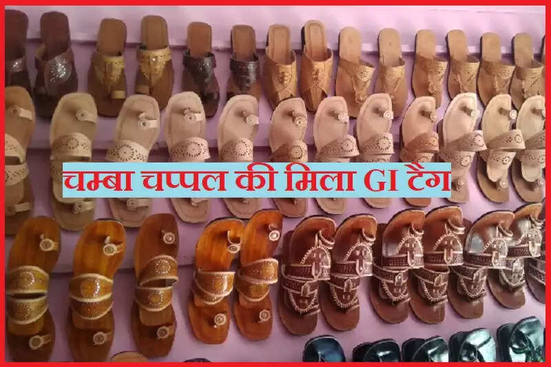 चम्बा चप्पल (Chamba Chappal) समेत हिमाचल से जीआई टैग (GI Tag) प्राप्त करने वाले उत्पादों में मोजे और दस्ताने, कुल्लू शॉल, कांगड़ा चाय, चम्बा रुमाल, किन्नौर का शॉल, कांगड़ा पेंटिंग, चुल्ली तेल और काला जीरा शामिल हैं।