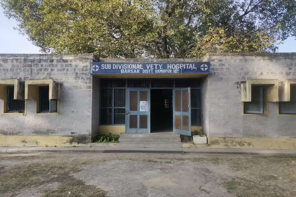 वेटनरी अस्पताल