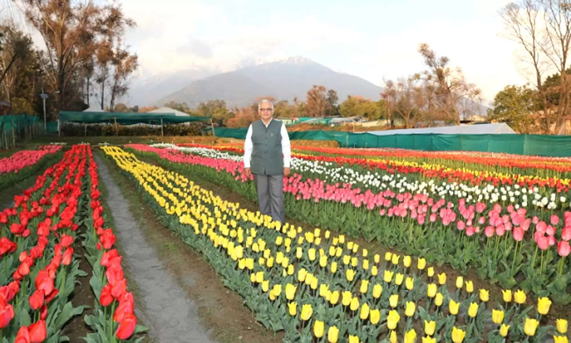 पालमपुर में ट्यूलिप गार्डन (Tulip Garden Of Palampur) की सुंदरता को निहारने के लिए बड़ी संख्या में स्वदेशी पर्यटक इन दिनों पालमपुर पहुंचने रहे हैं। कश्मीर के बाद पालमपुर में देश का दूसरा ट्यूलिप गार्डन इंस्टीट्यूट ऑफ हिमालयन बायोरिसोर्स टेक्नोलॉजी (CSIR IHBT) द्वारा विकसित किया गया है। यह ट्यूलिप गार्डन (Tulip Garden Of Palampur) पूरी तरह से स्वदेशी ट्यूलिप पौधों से विकसित किया गया है।  Tulip Garden Of Palampur | IHBT Planted 50 Thousand Saplings 11 Varieties | Himachal Palampur | Tulip Garden News | Kashmir Tulip Garden