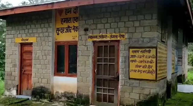 जंगल रोपा
