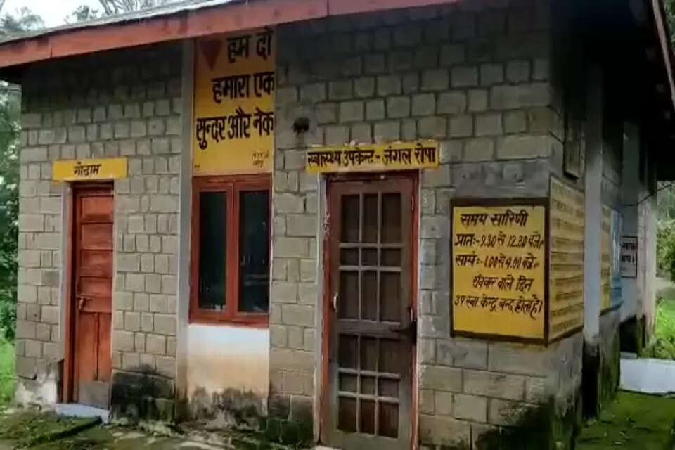 जंगल रोपा